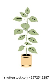 Green plant in a pot. Decoration for interior and garden. Graphic design element. Flat vector illustration isolated on white background