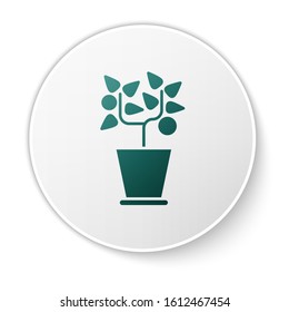 Green Plant in pot icon isolated on white background. Plant growing in a pot. Potted plant sign. White circle button. Vector Illustration