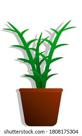 green plant in a pot on a white background.Vector illustration.