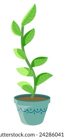 Green plant in the pot on white background.Flat vector isolated illustration.Great design for any purposes.
