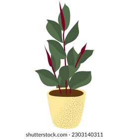 Green plant in pot vector home flower flat icon