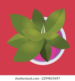 Green plant in pot vector illustration