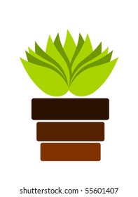 Green plant in pot. Vector illustration