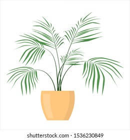 Green plant in the pot vector isolated. Gardening hobby, beautiful flowerpot. Indoor plant.