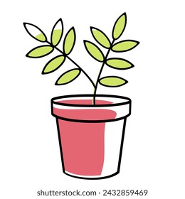planta verde en la olla roja