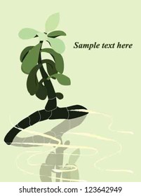 a green plant with reflection in water