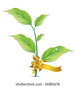 green plant with a ribbon