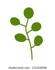 Green plant with round leaves. Silhouette algae, weed, plant. The stem and five round leaves in the style of flat. Design of the aquarium world, underwater illustration, oceanarium, gardening.