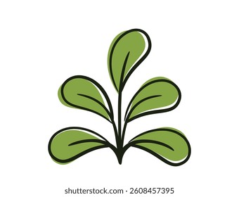 Green plant with rounded leaves. Spring, planting and nature design element. Isolated vector image