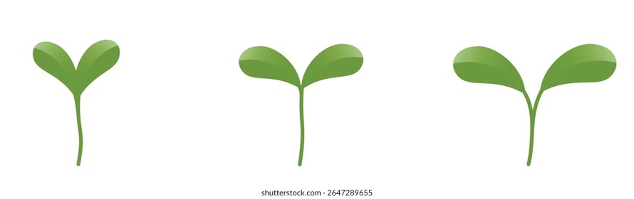 Green plant seedlings with two leaves. Spring, planting and nature design elements. Isolated vector illustrations