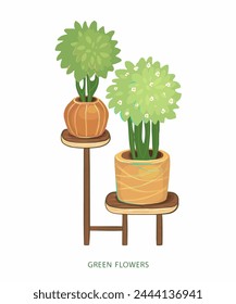 A green plant, shrub, flower in a pot, vase for interior or landscape. Gardening and hobbies. Vector illustration on a white background.