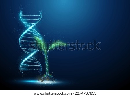 Green plant sprout with blue3d DNA molecule helix. Genetically modified product. Gene editing genetic biotechnology engineering concept. Low poly style. Abstract wireframe light structure. Vector