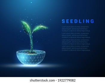 Green plant sprout growing in blue pot. Innovation farm concept. Low poly style design. Abstract blue geometric background. Wireframe light connection structure. Modern 3d graphic. Vector illustration