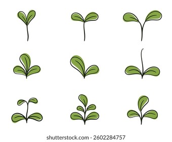 Green plant sprout with rounded leaves set. Seedling and planting design elements. Isolated vector images