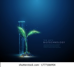 Green plant sprout and tube. Biotechnology concept