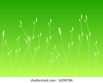 Green Plant Sprouts