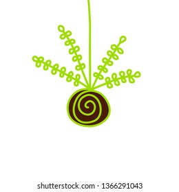 Green plant succulent kokedama hand drawn illustration cartoon style