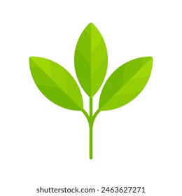 Green plant with three leaves. Flat icon isolated on white background. Nature concept for eco-friendly and organic products. Perfect for environmental branding and sustainability projects