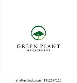 Green Plant Tree Logo Design Vector with management Concept