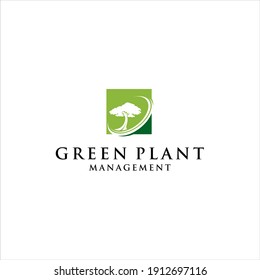 Green Plant Tree Logo Design Vector with management Concept