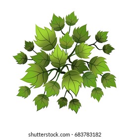 A green plant or tree, top view. Vector illustration, isolated on white background.