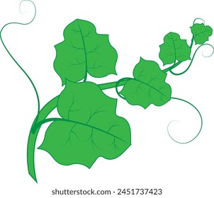 Eine grüne Vektorgrafik Kollektion