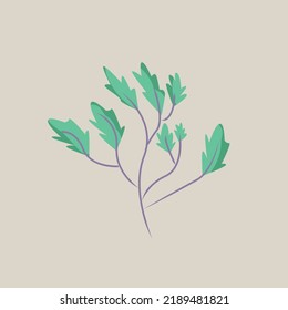 Ilustración del vector vegetal verde fondo blanco aislado