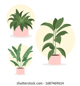 Ilustración de vectores de planta verde con tela