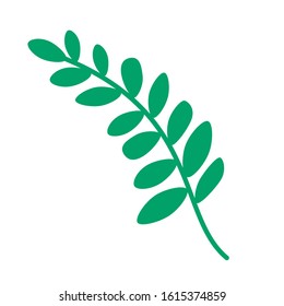 Green plant. Vector plant. Plant with leaves. Isolated plant on white background. 
