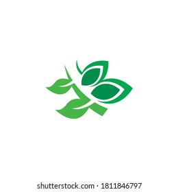 Vector de planta verde, logotipo de la naturaleza