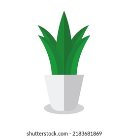 green plant vector on white background