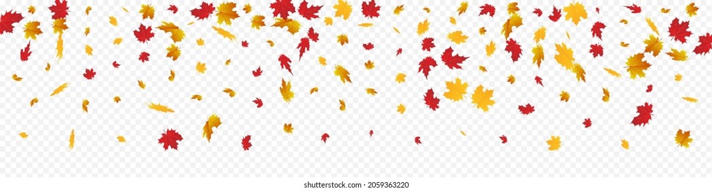 Green Plant Vector Panoramic Transparent Background. Canadian Floral Design. Orange Flying Foliage Template. Season Illustration.
