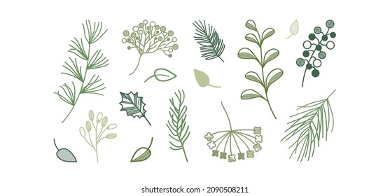 Green plant vector sketch icon, pine branch and berry, evergreen tree, fir, cedar twig set, holiday decoration isolated on white background. Hand drawn illustration