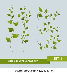 Green Plant Vines - Set 1 of 3