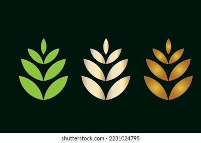 green plant wheat development process ripening simple logo concept