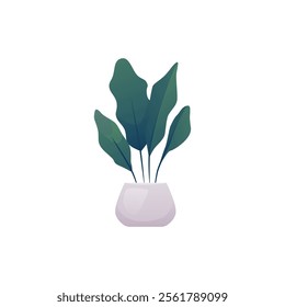 Green plant in white pot. Cartoon houseplant for interior design, decorative element. Floral home decoration. Vector flat illustration isolated on white background.