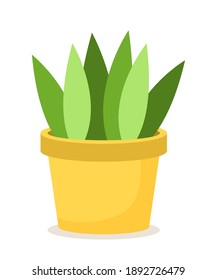 Green plant in yellow ceramic flower pot. Colorful leaves directed in opposite sides with different shades. A bright pot for a live plant. Planting isolated on white background, vector illustration