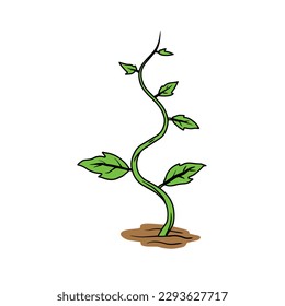 Green plant. Young sprout. Farming and gardening. Cartoon illustration isolated on white