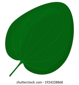 green Plantago leaf in flat style. Vector illustration