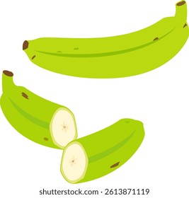 Green plantain and cross section of plantain