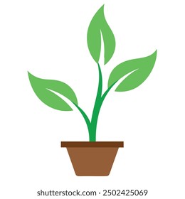 green plant,art and illustrator.in white background.vector design. with plant pot