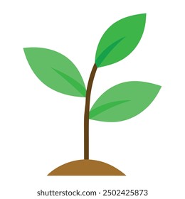 green plant,art and illustrator.in white background.vector design. 