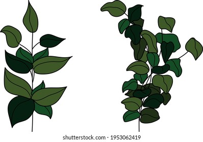 Green plants with big leaves in vector. Symbols of nature.