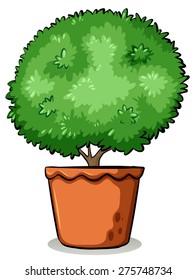 Green plants in a brown flowerpot