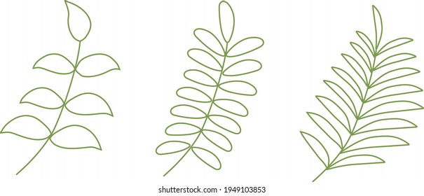 Green plants, collection of leaves in vector