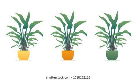 Green plants in different colored pots.