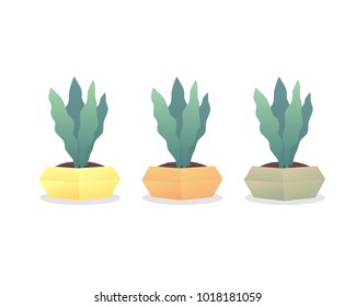 Green plants in different colored pots.