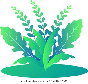 green plants. Elements for design. Vector plants. - Vector