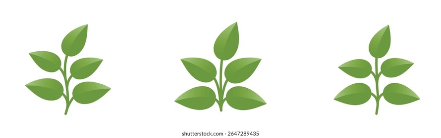 Green plants with five leaves. Nature, spring and planting design elements. Isolated vector images