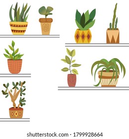 Green plants in flower pots on the shelves vector graphics